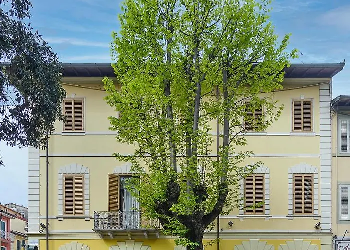 Grazia فياريجيو