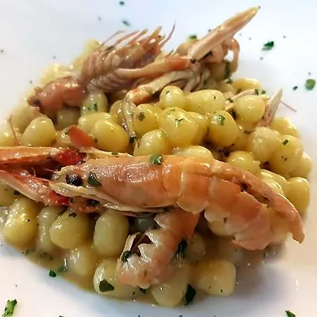 Grazia 2* Viareggio